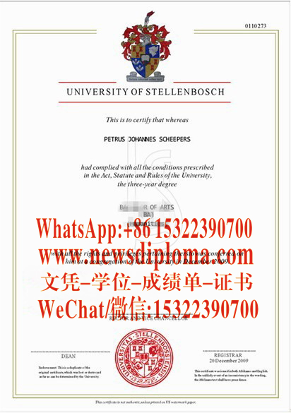 斯坦林布什大学毕业证文凭原版哪里能办